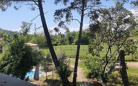 Hostal Chez Franck